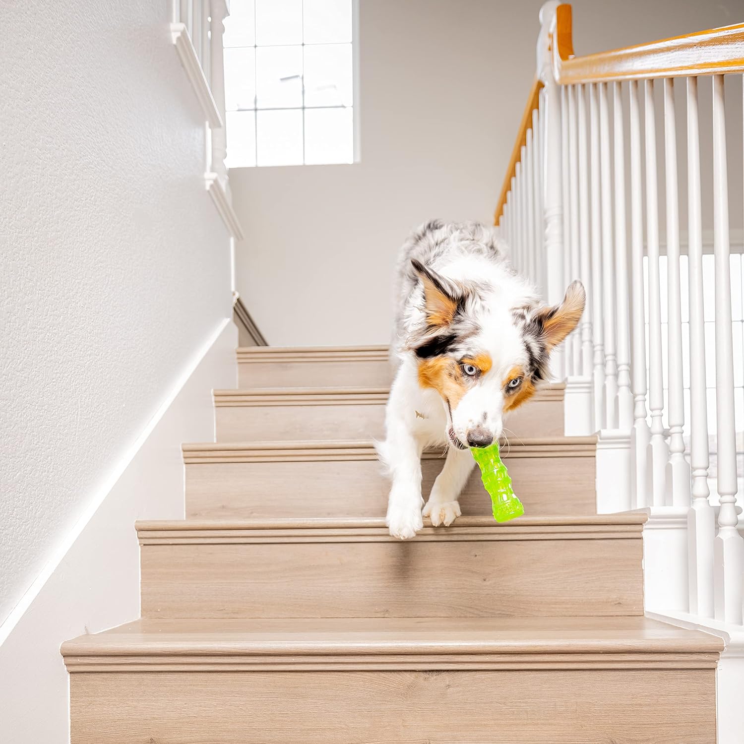 Hyper-Pet-Dura-Squeaks-Stick-Dog-Toy-Medium